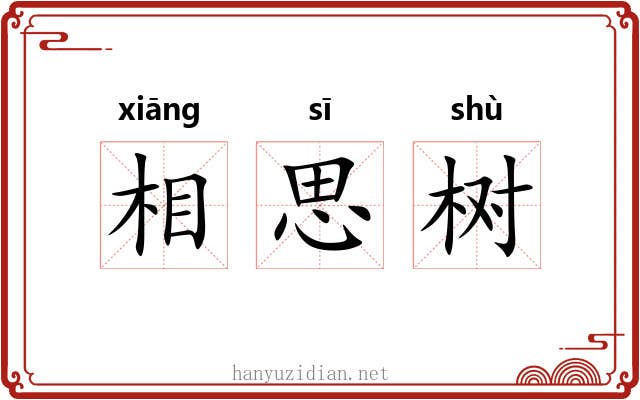 相思树 相思树