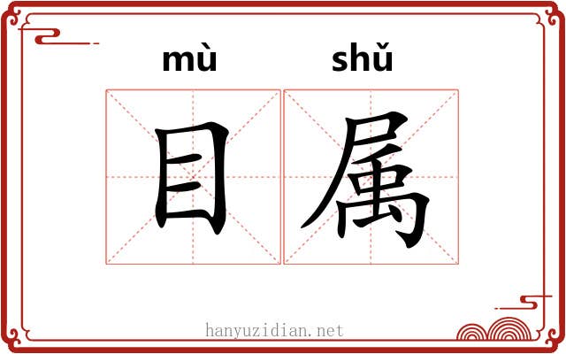 目属 目属