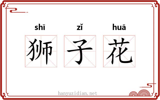 狮子花 狮子花