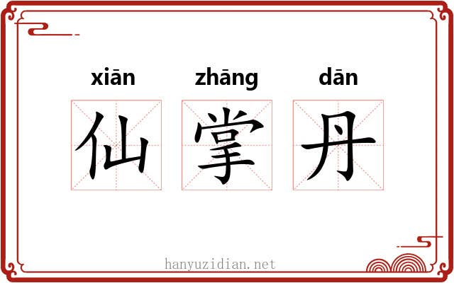 仙掌丹