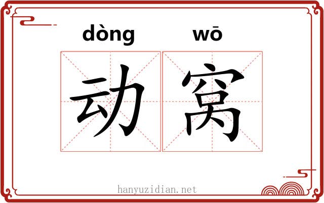 动窝 动窝