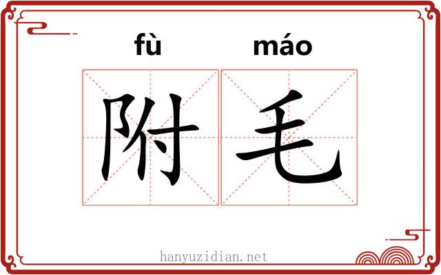 附毛 附毛