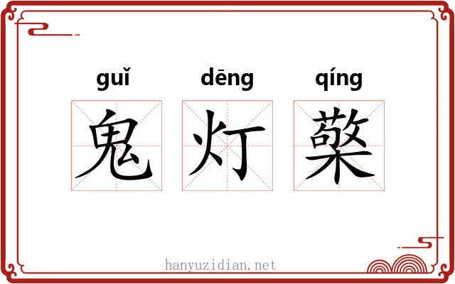 鬼灯檠 鬼灯檠