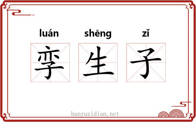 孪生子 孪生子