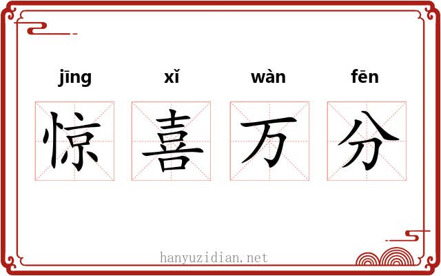 惊喜万分 惊喜万分