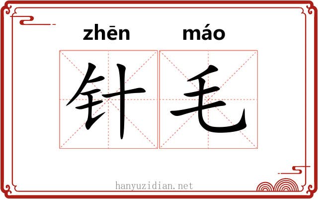 针毛