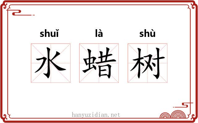 水蜡树 水蜡树