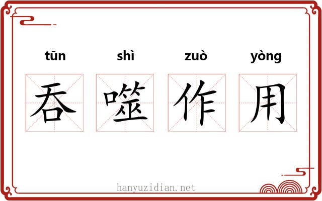 吞噬作用 吞噬作用