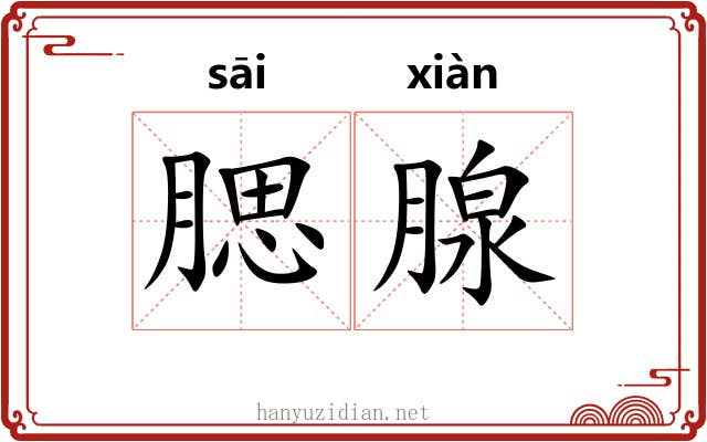 腮腺