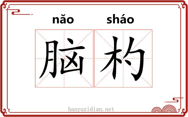 脑杓