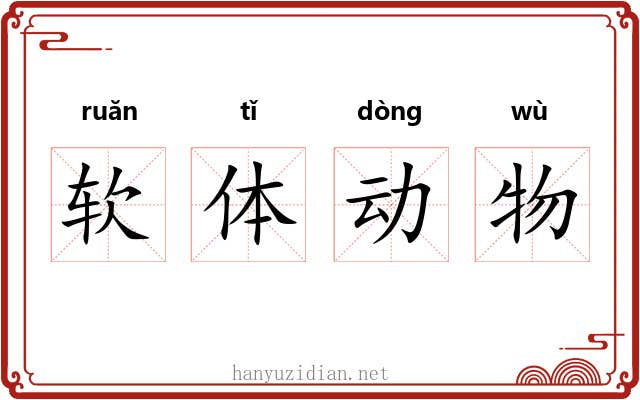 软体动物