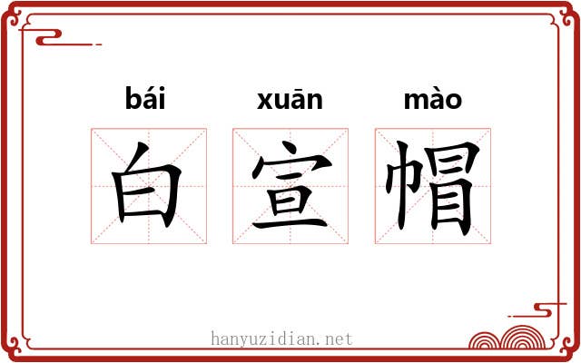 白宣帽 白宣帽