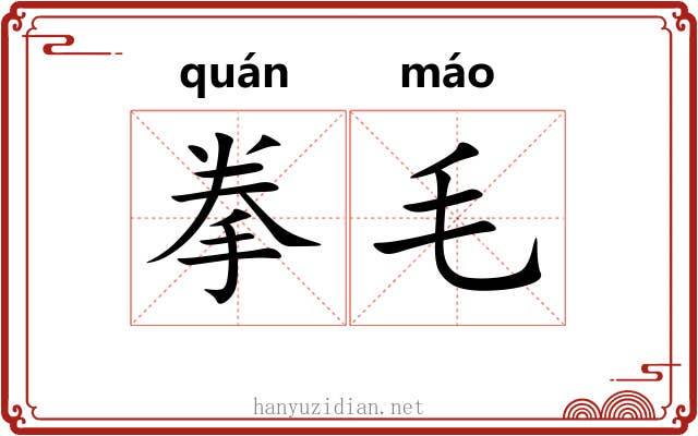 拳毛 拳毛