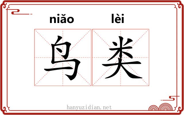 鸟类