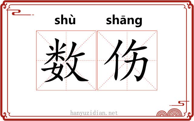 数伤 数伤