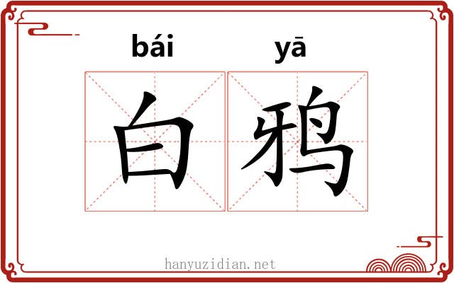 白鸦 白鸦