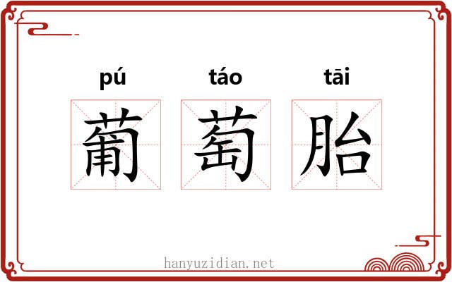 葡萄胎 葡萄胎