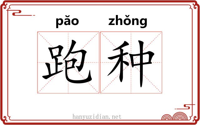 跑种 跑种