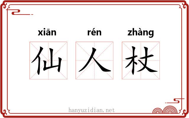 仙人杖 仙人杖