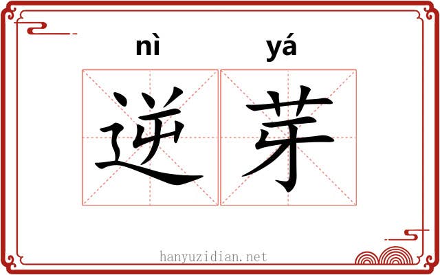 逆芽