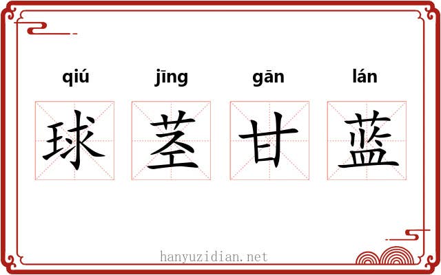 球茎甘蓝 球茎甘蓝