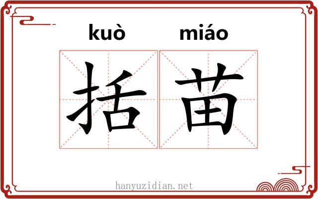 括苗 括苗