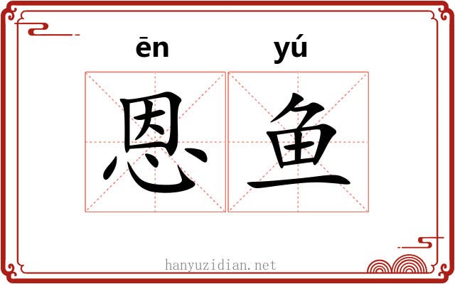 恩鱼 恩鱼