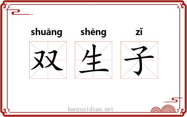 双生子