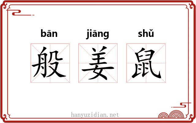 般姜鼠