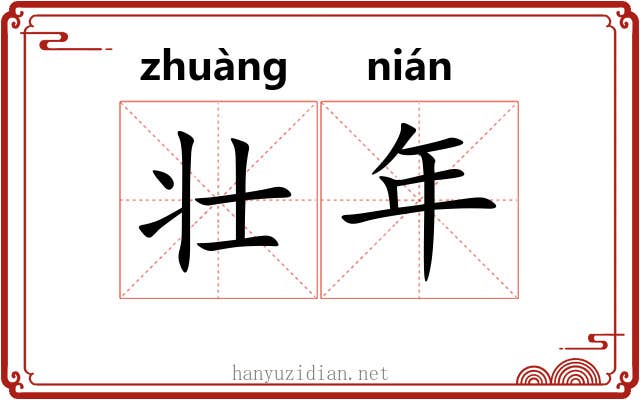 壮年