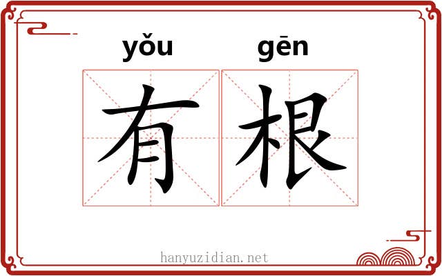 有根 有根