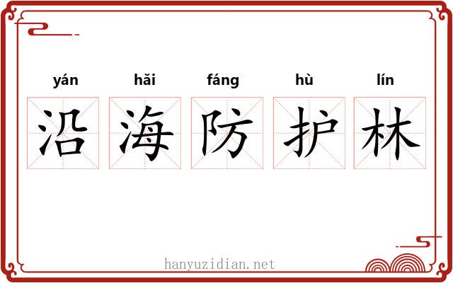 沿海防护林 沿海防护林