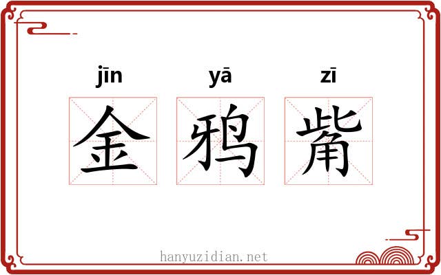 金鸦觜 金鸦觜