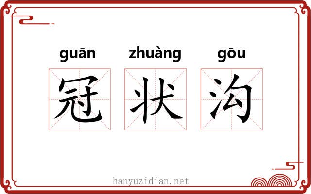 冠状沟