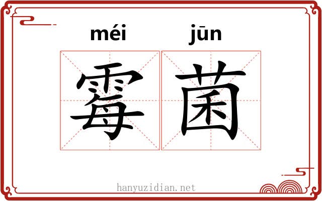 霉菌