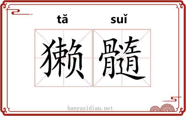 獭髓