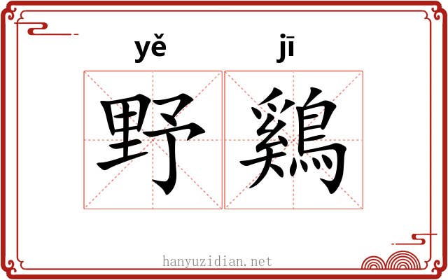 野鷄 野鷄