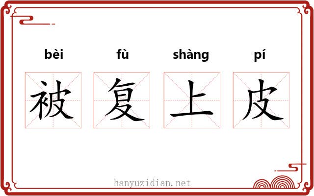 被复上皮 被复上皮