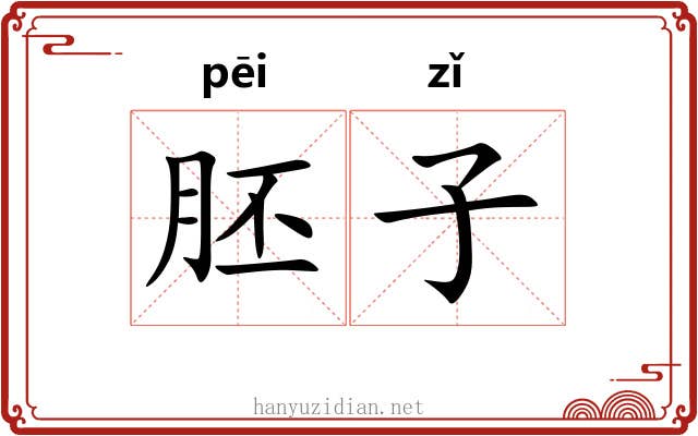 胚子 胚子