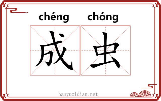 成虫