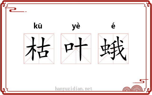 枯叶蛾 枯叶蛾