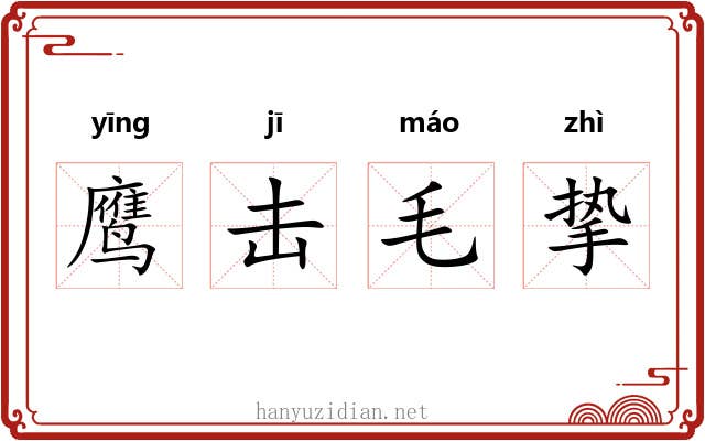 鹰击毛挚 鹰击毛挚