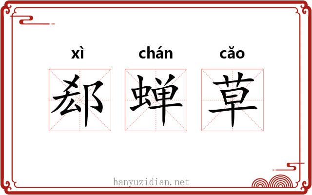 郄蝉草
