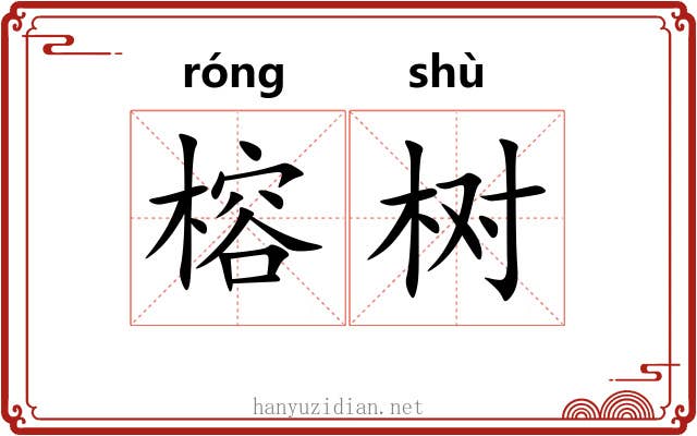 榕树 榕树