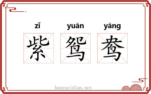 紫鸳鸯