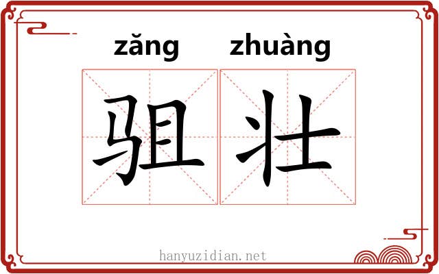 驵壮