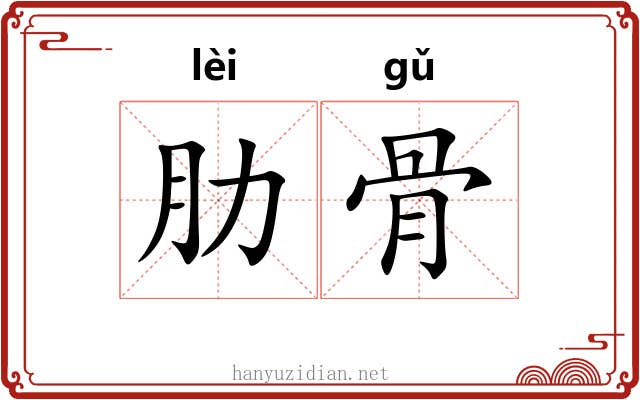 肋骨 肋骨