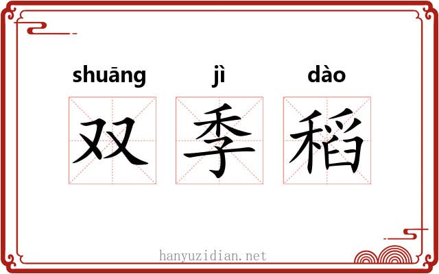 双季稻