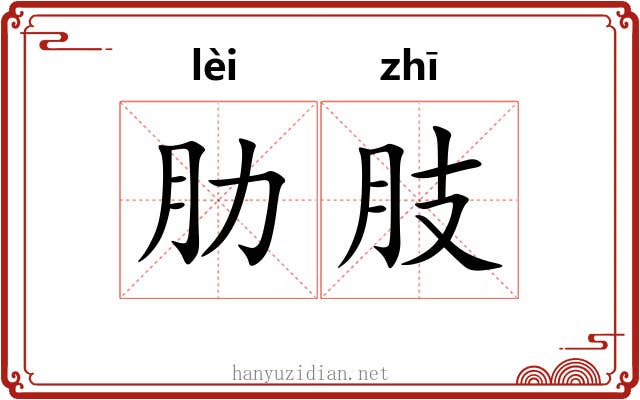 肋肢