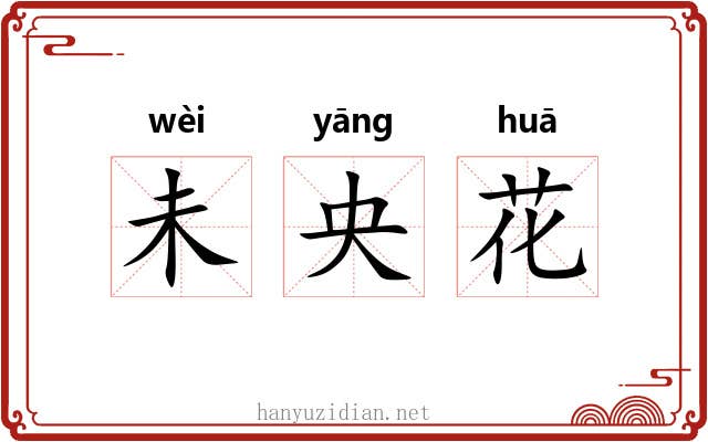 未央花 未央花